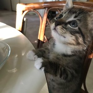 Meet your Posher, Kathy